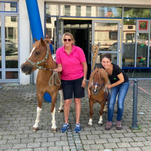 Sommerspaß mit dem Ponyhof Lutz in Legau - Pferde für unsere Kinder (9) Sommerspaß mit dem Ponyhof Lutz in Legau - Pferde für unsere Kinder