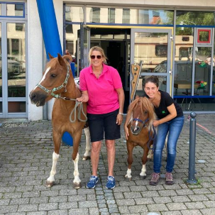 Sommerspaß mit dem Ponyhof Lutz in Legau - Pferde für unsere Kinder