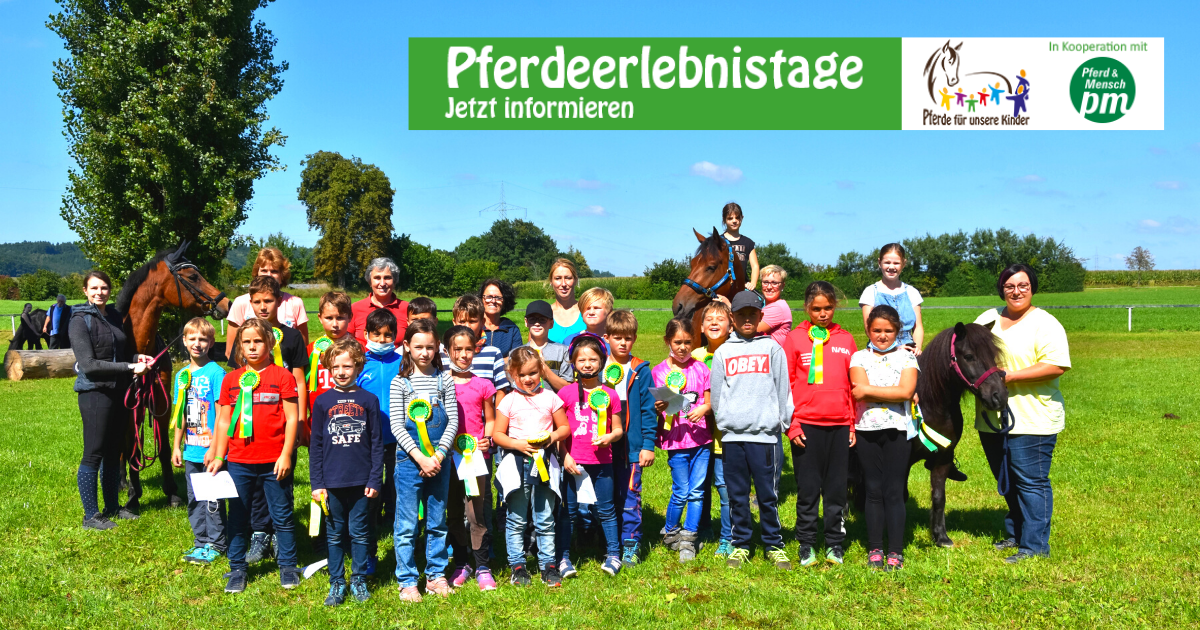 Pferdeerlebnistag Pferdesportverein St Leonhard Achsheim e.V. FB