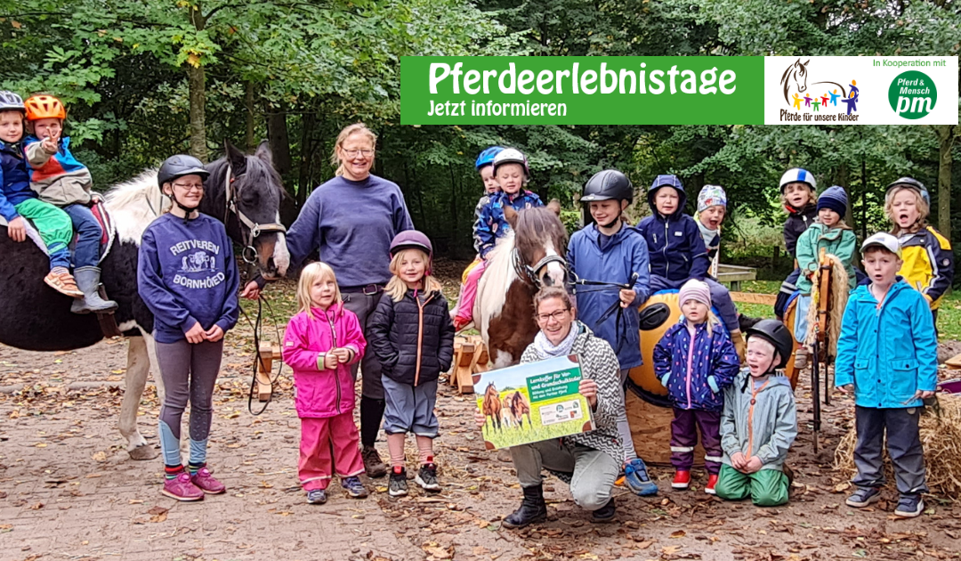 Pferdeerlebnistag in der Kindertagesstätte Brügge