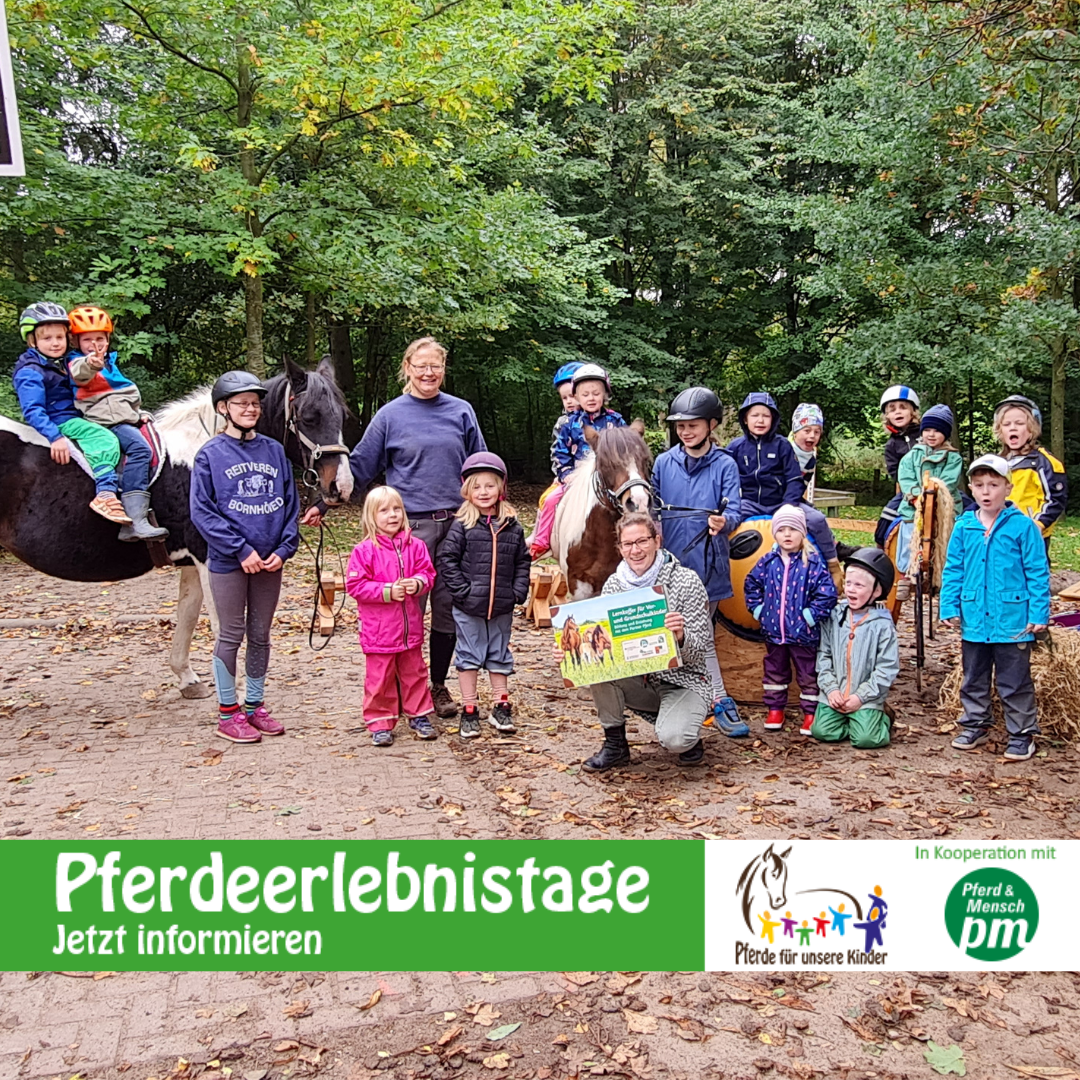 Pferdeerlebnistag KiTa Brügge FB - Foto ccc Pferdeerlebnistag KiTa Brügge FB - Foto ccc