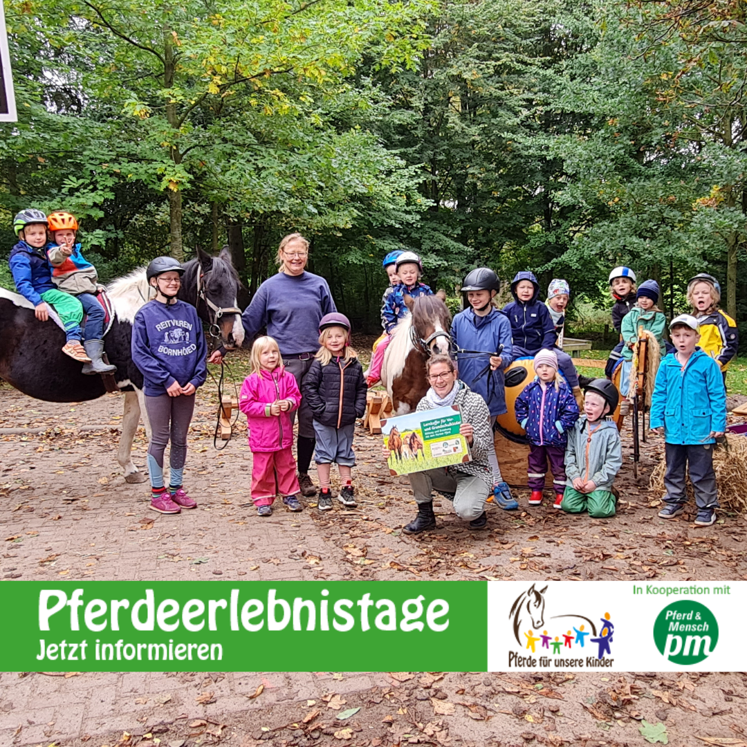 Pferdeerlebnistag KiTa Brügge FB - Foto ccc