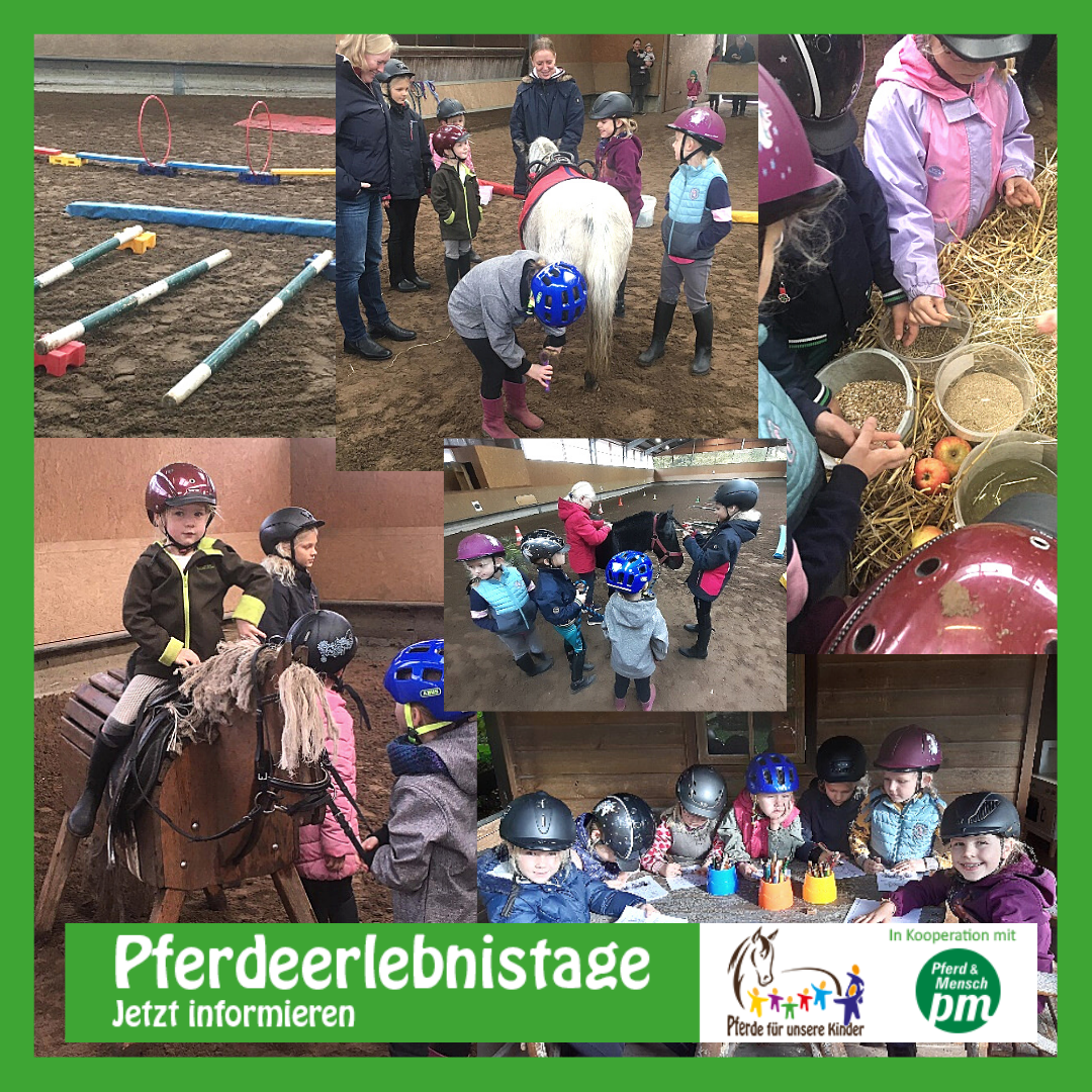 2021-10-20 Schulze Hobbeling Insta Pferdeerlebnistag Schulze Hobbeling - Foto Schulze Hobbeling