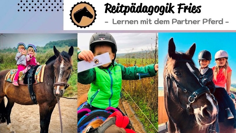 Reitpädagogik Fries – Lernen mit dem Partner Pferd
