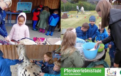 Pferdeerlebnistag bei der Team-Ponyschule Münchsreuth