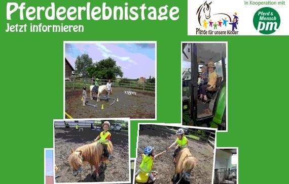 Ein Holzpferd und einen Pferdeerlebnistag für die Kinder des Kindergartens Schabenhausen