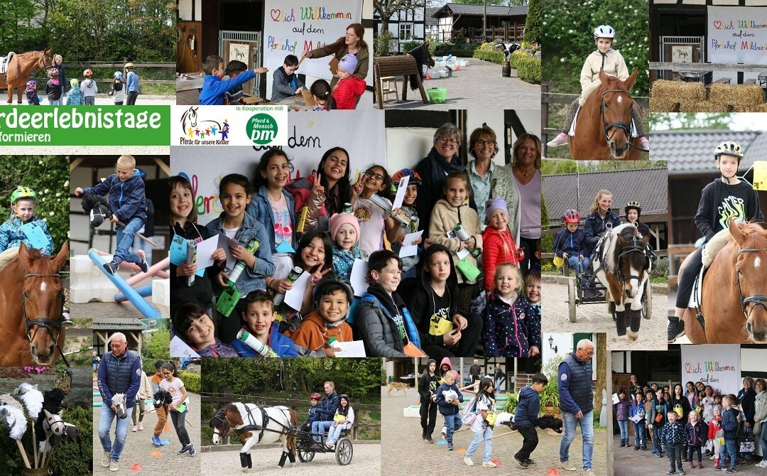 Strahlende Kinderaugen beim Pferdeerlebnistag