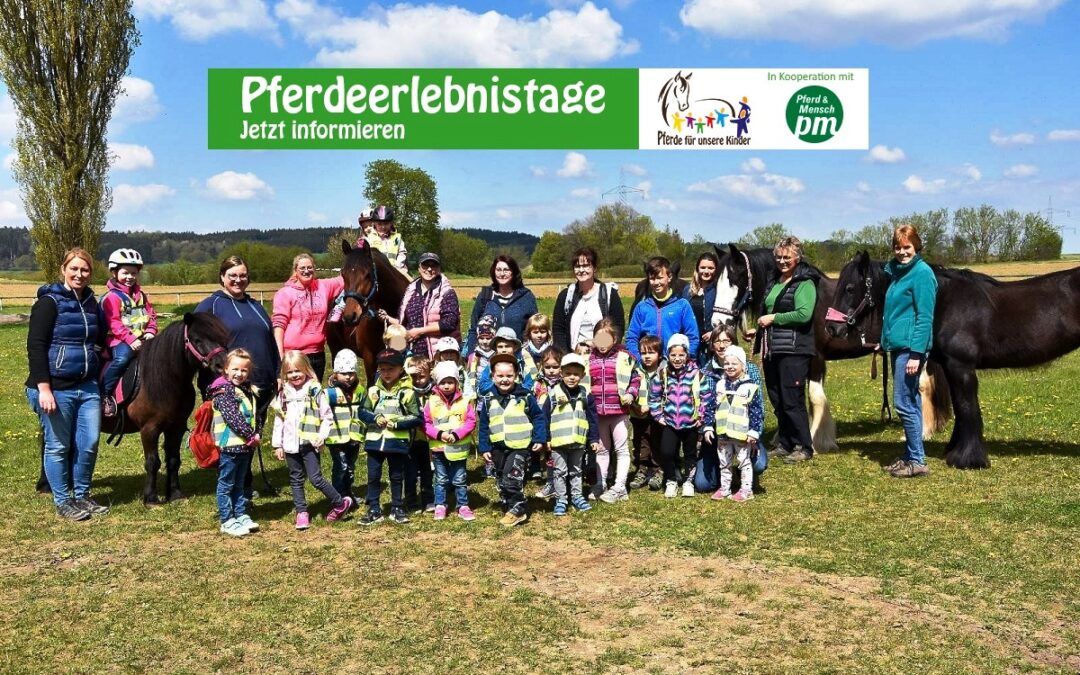 Achsheimer Kindergartenkinder schnuppern Pferdeluft