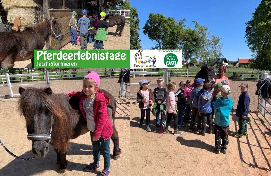 „Wilde Ponyherde“ beim Pferdeerlebnistag in Waischenfeld