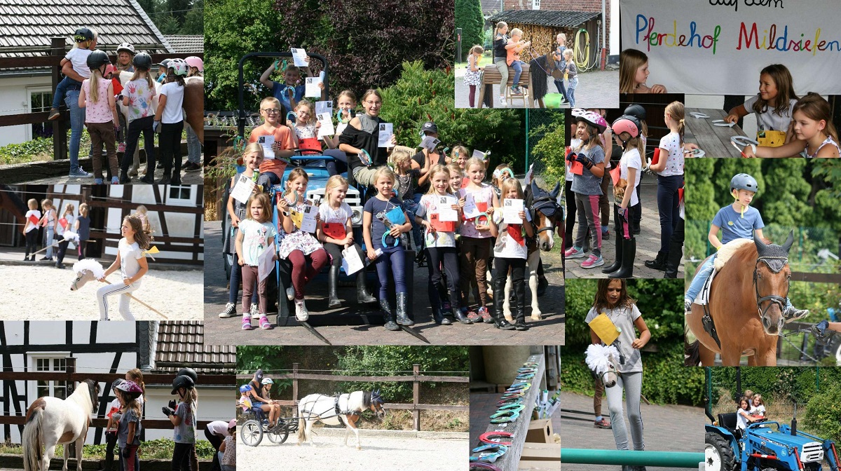CollagePferdeerlebnistag