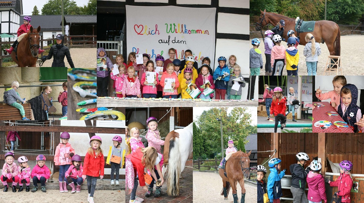 CollagePferdeerlebnistag10-09-22