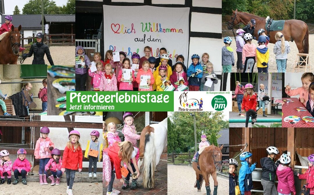 Regentropfen beim Pferdeerlebnistag auf dem Pferdehof Mildsiefen