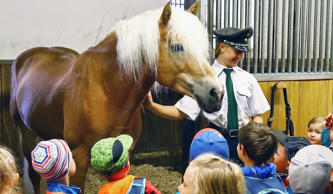 Sächsischer Kindertag im Landgestüt Moritzburg