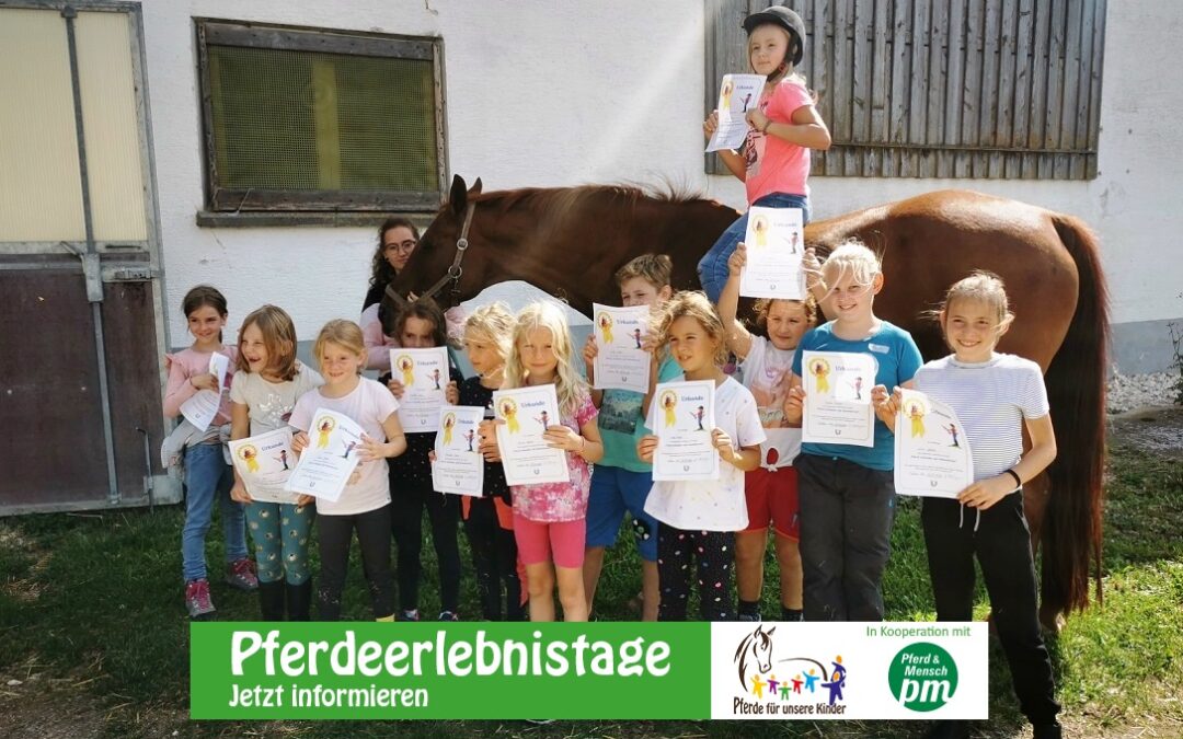 Pferdeerlebnistag im Rahmen des Sommerferienprogramms der Gemeinde Beimerstetten