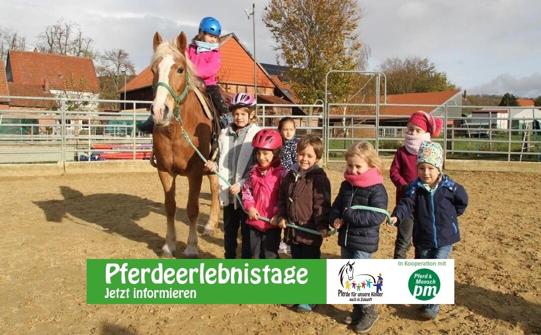 Ein Pferdeerlebnistag für die Kinder der Pusteblume