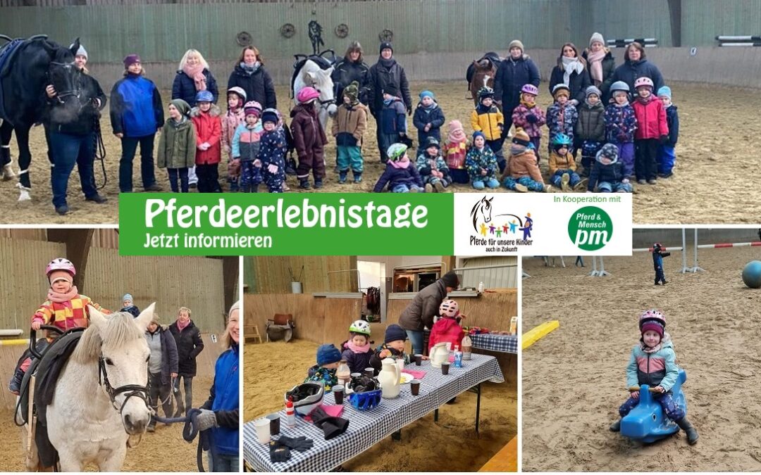 Ein Pferdeerlebnistag für die Kinder der DRK-Kindertagesstätte „Am Park“