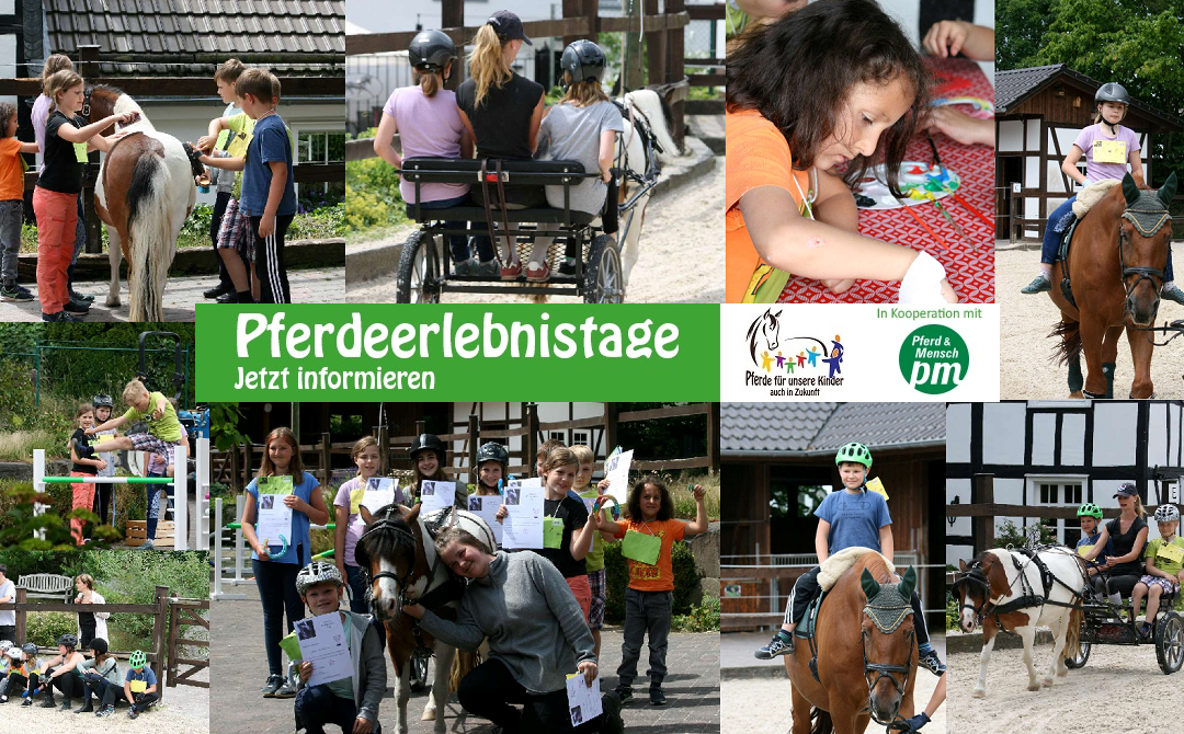 Ein Pferdeerlebnistag im Rahmen des Ferienprogramms des Aggerverbandes Gummersbach