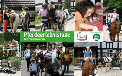 Ein Pferdeerlebnistag im Rahmen des Ferienprogramms des Aggerverbandes Gummersbach