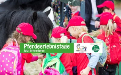 Pferderlebnistag für den Dänischen Kindergarten Idstedt