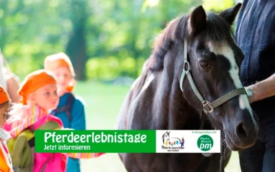 Pferdeerlebnistage für die Kinder der Grundschule Burgau