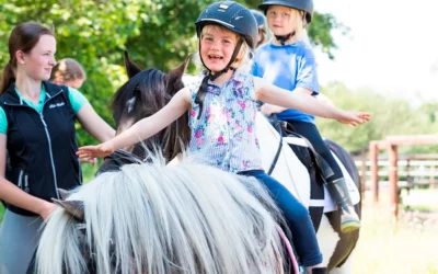 Ausbildungskonzepte für Kinder rund um Ponys und Pferde
