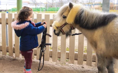 Das kleine Pony ABC: Trainer C Reiten Basissport Kinderreitunterricht