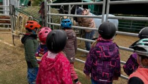 Kinder-Pferdeerlebnistag Epp (2)