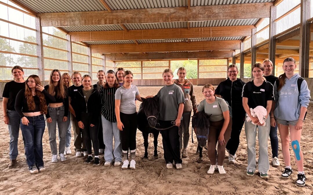Pferdegestütztes Coaching – Förderung von Toleranz und Teamgeist an der IGS Fürstenau
