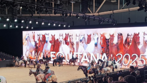 Kindertag auf der EQUITANA 2025