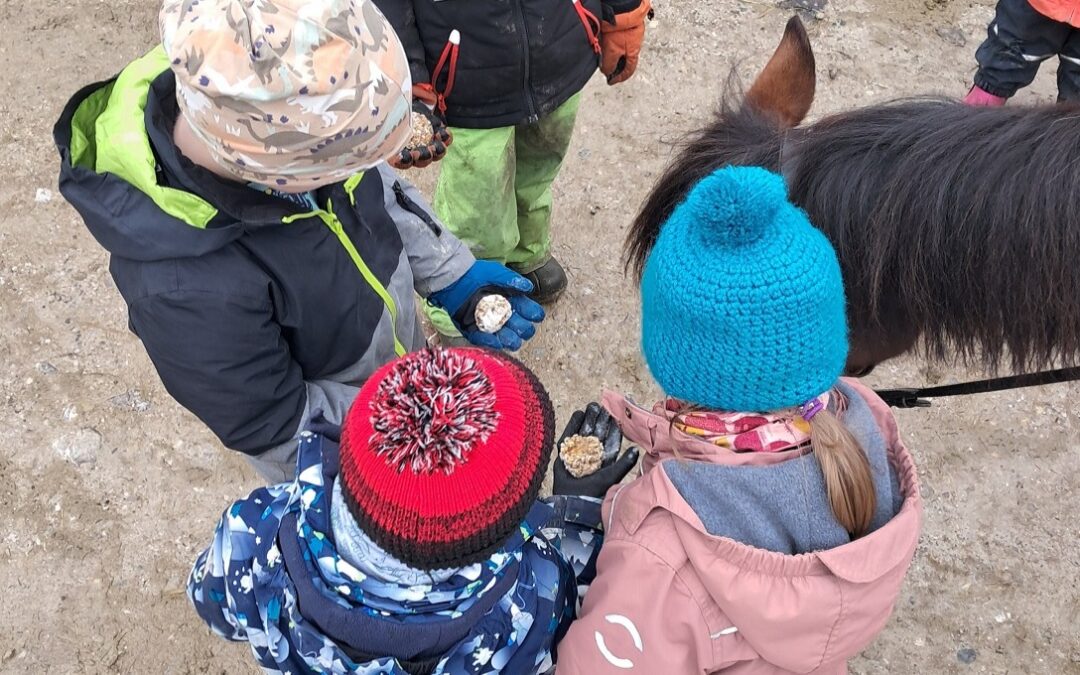 Gelungener Auftakt der Kinder-Pferdeerlebnistage 2025