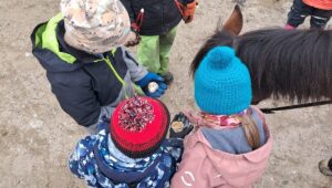 Kinder-Pferdeerlebnistag Armando Academy