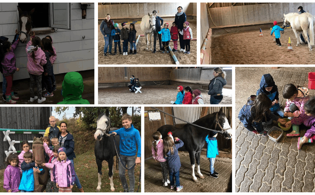 30 Jahre Pony Eros – Ein Herz auf vier Hufen